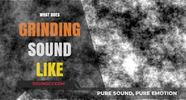 Unraveling the Abrasive Symphony: What Does Grinding Sound Like?