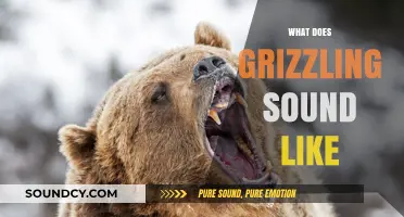 Decoding the Unique Grizzling Sound: What Does It Really Sound Like?