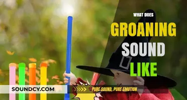 Understanding Groans: Decoding the Unique Sounds and Meanings Behind Them