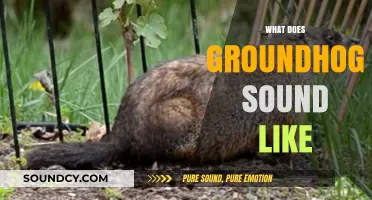Unveiling the Unique Sounds of Groundhogs: A Comprehensive Guide