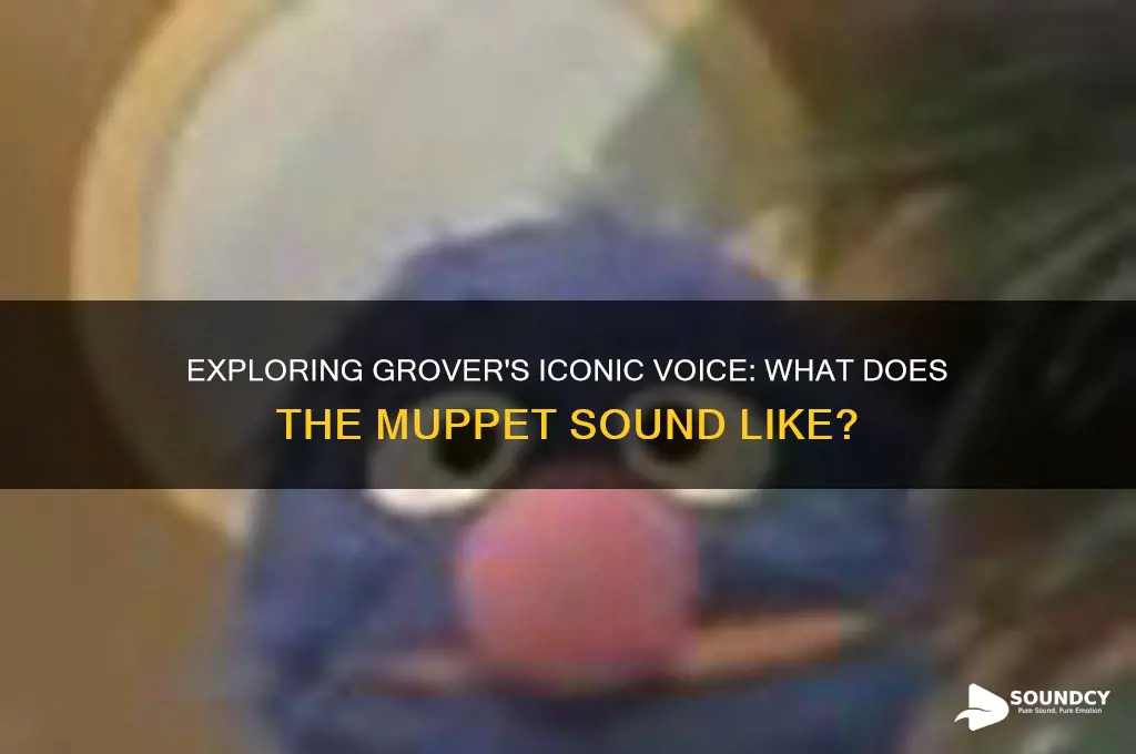what does grover sound like