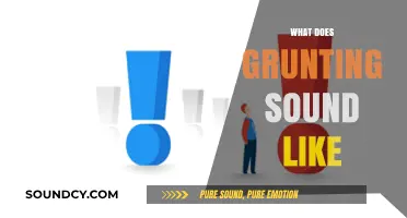 Decoding Grunts: Understanding the Unique Sounds and Meanings Behind Them