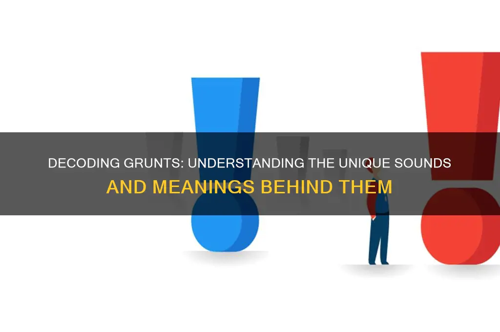 what does grunting sound like