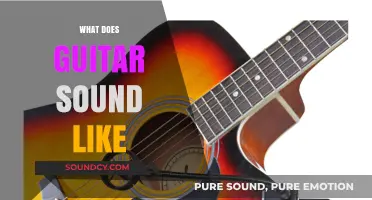 Exploring the Rich, Vibrant, and Diverse Sounds of a Guitar