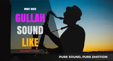 Exploring the Unique Rhythms and Melodies of Gullah Language and Culture