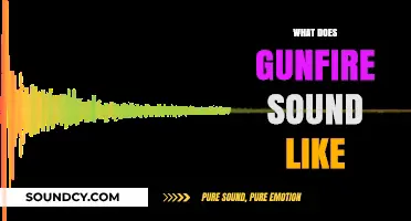 Unveiling the Acoustic Reality: What Does Gunfire Truly Sound Like?