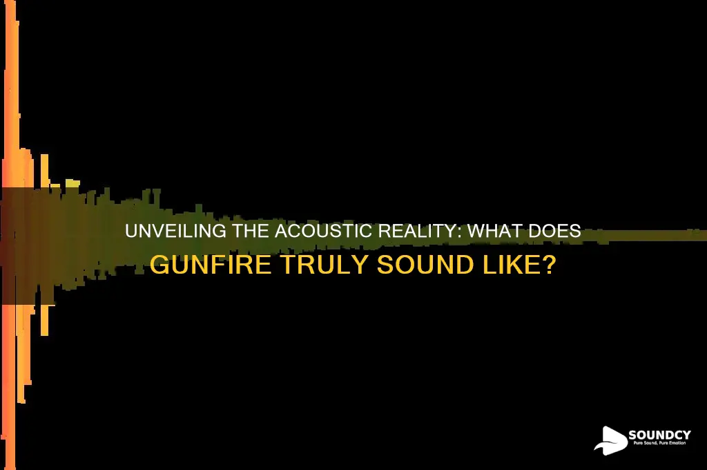 what does gunfire sound like
