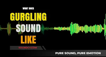 Understanding the Unique Gurgling Sound: What Does It Actually Sound Like?