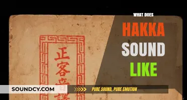 Exploring the Unique Tones and Rhythms of Hakka Language and Culture