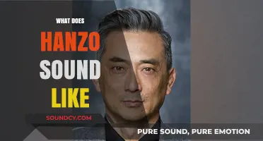Exploring Hanzo's Voice: A Deep Dive into His Unique Sound