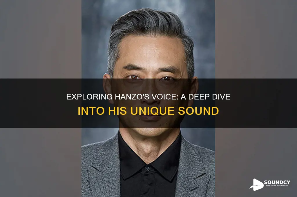 what does hanzo sound like