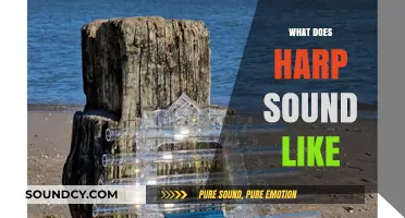 Discover the Enchanting, Ethereal Sound of the Harp: A Guide