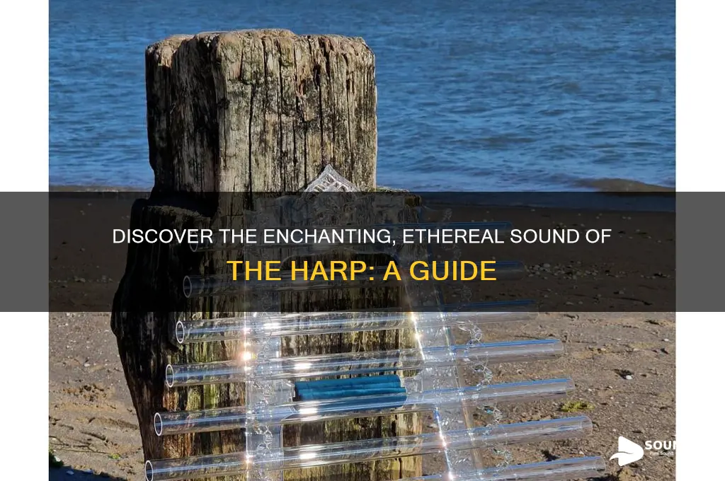 what does harp sound like
