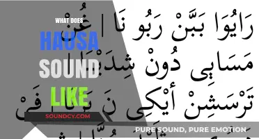 Exploring the Unique Rhythms and Tones of Hausa Language Sounds