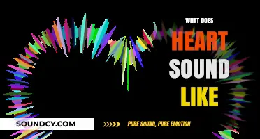 What Does a Heart Sound Like? Exploring the Rhythms of Life