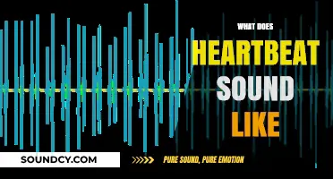 Exploring the Unique Rhythms: What Does a Heartbeat Sound Like?