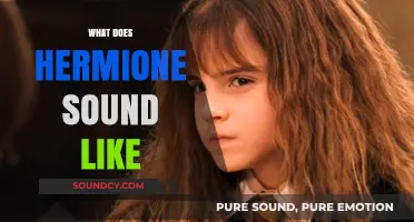 Unveiling Hermione's Voice: Exploring the Sounds of a Brilliant Witch