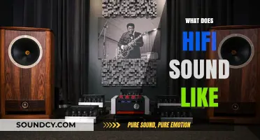 Exploring the Rich, Detailed World of Hi-Fi Audio Sound Quality