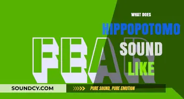 Unraveling the Irony: Hippopotomonstrosesquippedaliophobia's Pronunciation Paradox Explained