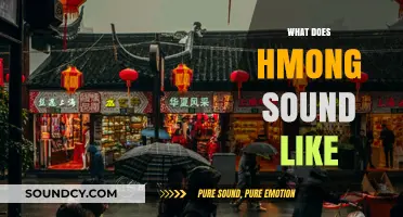 Exploring the Unique Tones and Rhythms of the Hmong Language