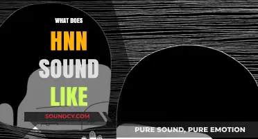 Unveiling the Unique Sound of HNN: A Sonic Exploration
