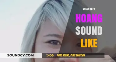 Exploring the Unique Pronunciation and Musicality of the Name Hoang