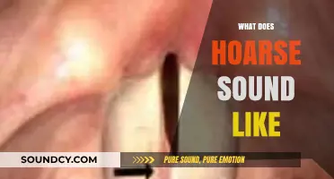 Understanding Hoarse Voice: Characteristics, Causes, and What It Sounds Like