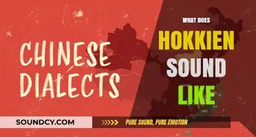 Exploring the Unique Tones and Rhythms of Hokkien Speech