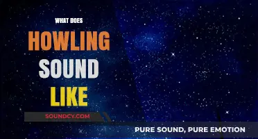 Unraveling the Eerie, Haunting, and Mystical Sounds of Howling