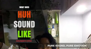 Decoding the Universal Sound: What Does 'Huh' Really Sound Like?