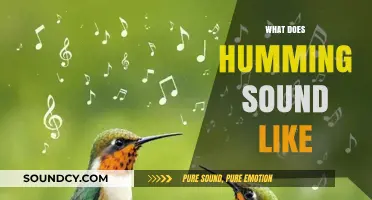 Exploring the Unique, Soothing, and Vibrant World of Humming Sounds