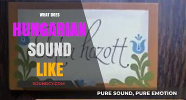 Exploring the Unique Rhythms and Melodies of the Hungarian Language