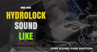 Hydrolock Noise Explained: Recognizing the Distinct Sounds of Engine Damage