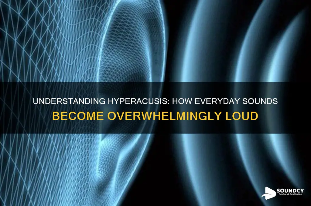 what does hyperacusis sound like