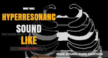 Unveiling Hyperresonance: Exploring the Unique Sonic Signature of Excessive Lung Sounds