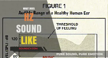 Understanding the Audible Spectrum: What Does Hz Sound Like?