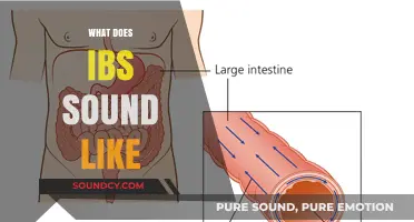 Unraveling the Noisy Mystery: What Does IBS Sound Like?
