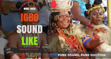 Exploring the Unique Rhythms and Melodies of the Igbo Language