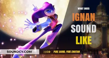 Exploring the Enigmatic Sounds of Ignan: A Sonic Journey