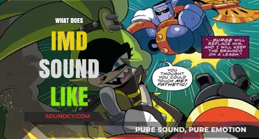 Exploring the Unique Sonic Identity of IMD: What Does It Sound Like?