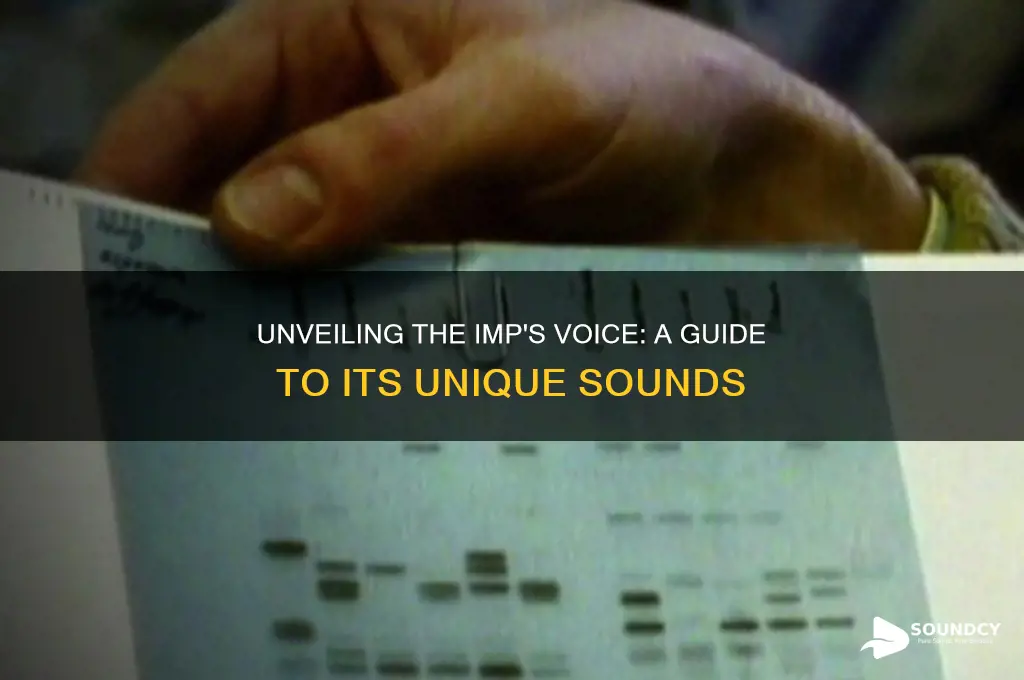 what does imp sound like