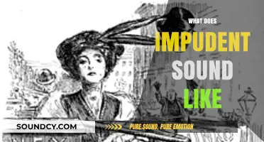 Decoding Impudence: What Does Impudent Sound Like in Real Life?