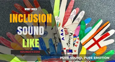 What Does Inclusion Sound Like: Voices, Harmony, and Belonging in Action