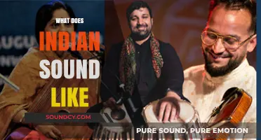 Exploring the Rich Tapestry of Indian Sounds: Language, Music, and Culture