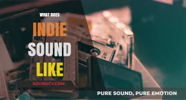 Unraveling the Unique Sonic Identity of Indie Music: What Does Indie Sound Like?