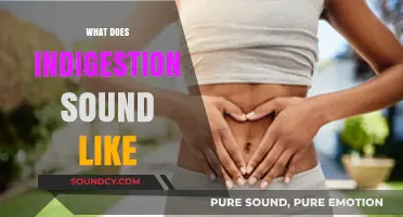 Unraveling the Noises: What Does Indigestion Sound Like?