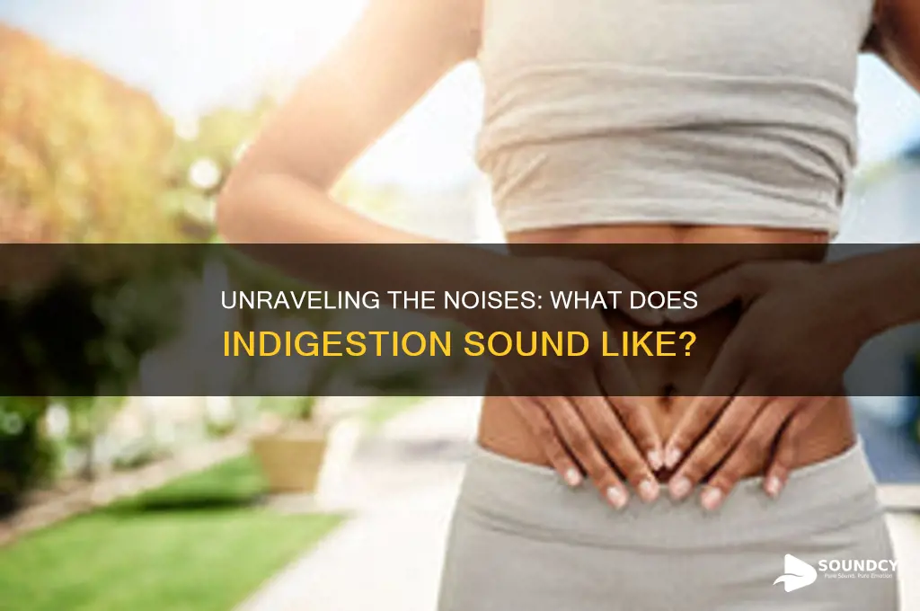 what does indigestion sound like