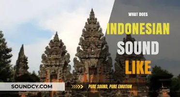 Exploring the Unique Melody and Rhythm of Indonesian Language Sounds