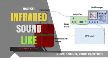 Decoding Infrared: Unveiling the Silent Spectrum's Audible Mysteries