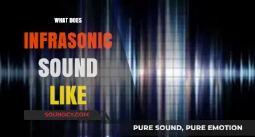 Unveiling the Mystery: What Does Infrasonic Sound Like to Humans?